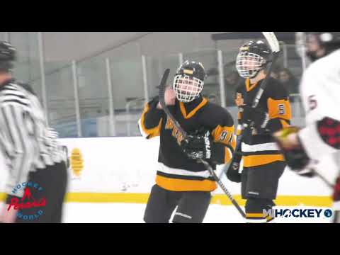 2019 MAHA JV High School D1 state championship - Battle Creek Bruins vs. Big Boy Hockey Club