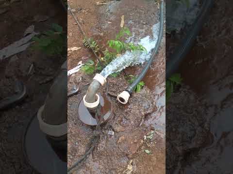 em darcinópolis Tocantins