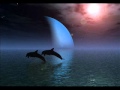 Paul Brown - Mr. Cool.WMV