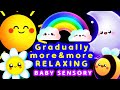 Baby Sensory Bedtime Calming Video Infant Visual Stimulation
