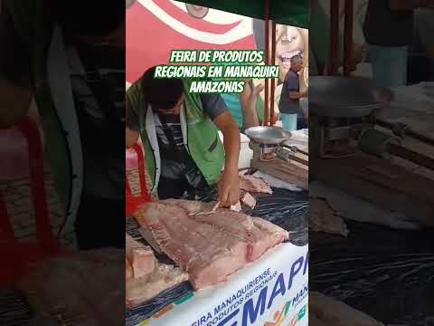 Esse é o Pirarucu Amazônico  #Pirarucu #viral #fyp #amazonas #manaquiri #turismo #turist #foryou