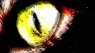 Senses Fail - Let It Enfold You