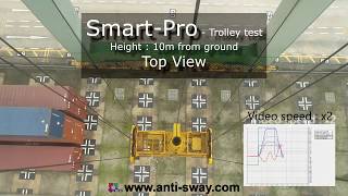 Crane Swing Control - Smart-Pro