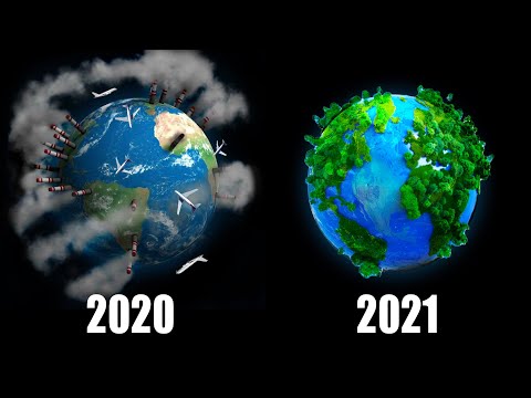 Warum ist 2020 das Beste Jahr in der Menschheitsgeschichte