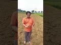 Ground water finding with coconut