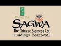 Sagwa Fundings Reversed