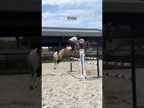 Ma star 🤩✨ #cso #cheval #equitation #cavalier #horse #showjumping #etalon