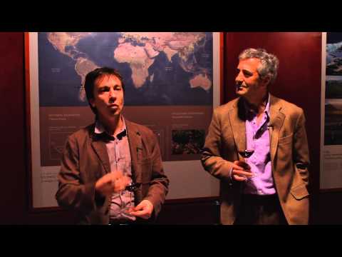 Chilean Pinot Noir: Eduardo Chadwick's Pizarras