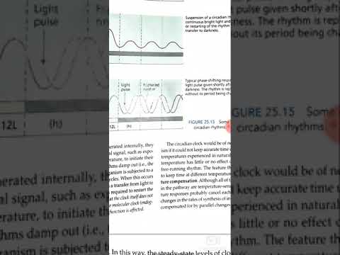 Circadian clock in plants