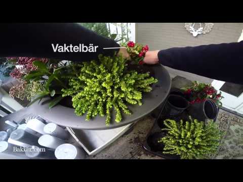 Gör ett jularrangemang med blommor - Bakker.com