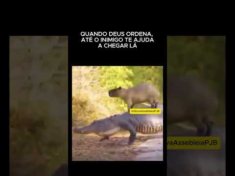 PARA DEUS NADA É IMPOSSÍVEL #shortsvideo #viral #humor