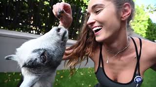 МОДЕЛИ INSTAGRAM ПРОБУЮТ КОЗЛИНУЮ ЙОГУ (SHAGMAG EP. 5 ПЕРЕВОД)