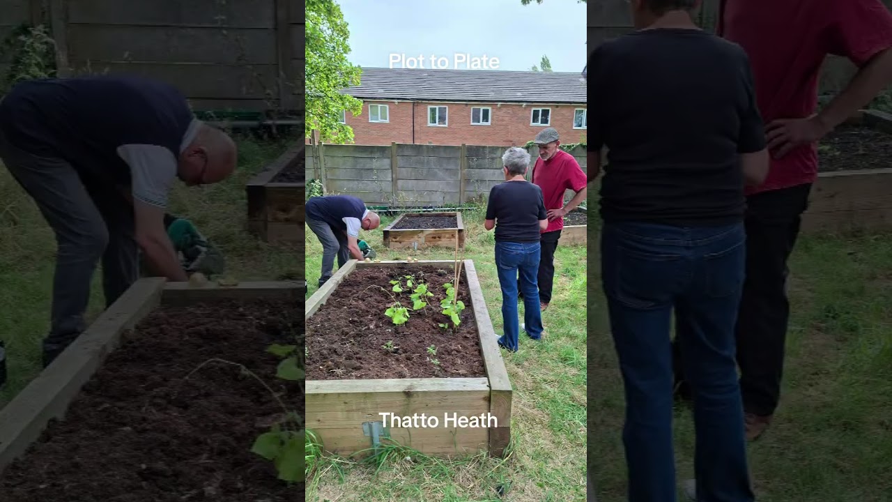 Plot to Plate Thatto Heath 6th July 2026