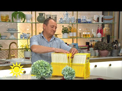 Triss: Först vann svägerskan - nu är det Danuts tur! - Nyhetsmorgon (TV4)