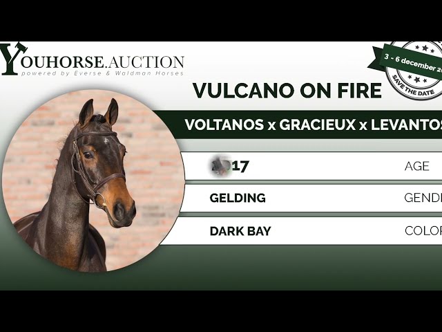 Vulcano On Fire