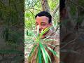 Chehre Pe Girin Zulfen Rafi Song Shorts Viral Song Shortsvideo Youtubeshorts Rajeshroshan407