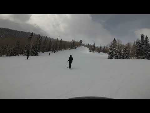 200308 Run 8 Red Fox