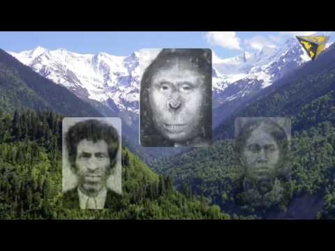 Zana The Apewoman of Abkhazia was not a human DNA Analysis shows