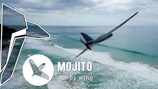 TBS Mojito - FPV Wing