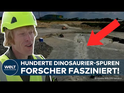 ENGLAND: Sensationeller Dinosaurier-Fund - Hunderte Fußabdrücke in Steinbruch entdeckt!