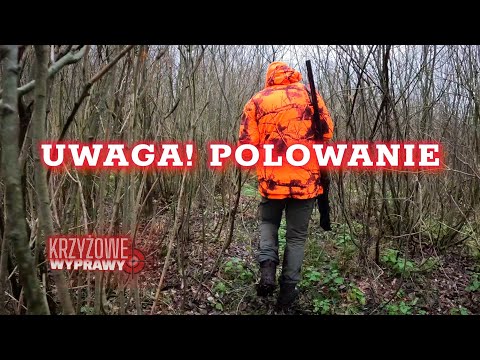 Polowanie zbiorowe na Warmii #WyprawyKrzyżowe
