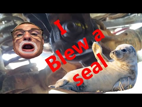 Dana 30 pinion seal replacement.