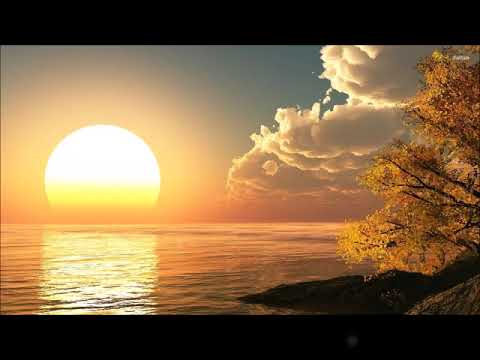 Ootan Taai by Paraeta