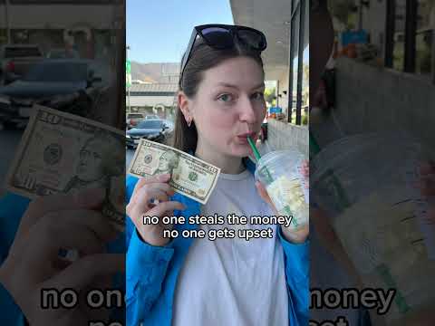 Borage Testudines - Take The Bus - Misc Originals