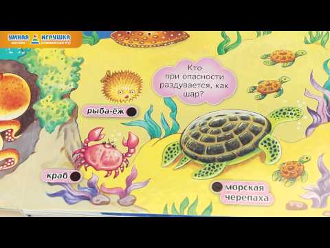 фото книга ''зайкин зоопарк'' 0