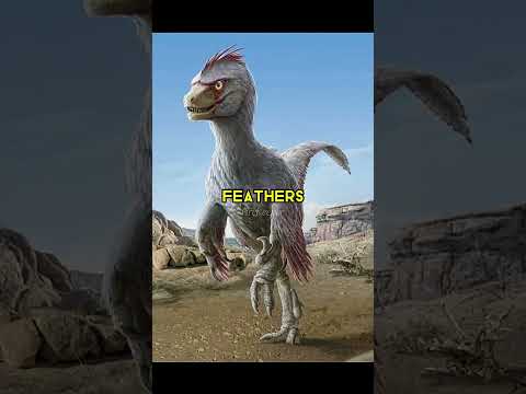 Why are Velociraptors in the Jurassic franchise so scientifically inaccurate? #raptor #velociraptor