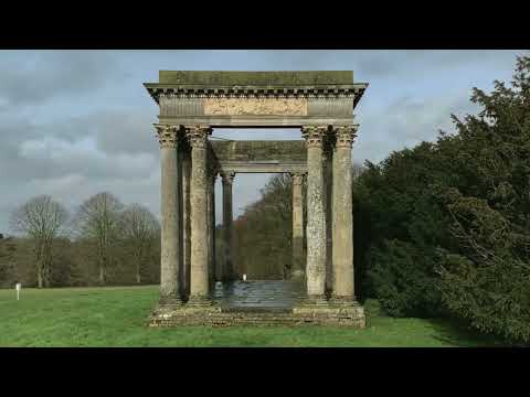 Modern Nature - Performance (Visualiser)