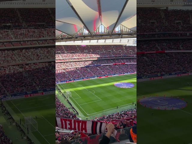 Vídeo relacionado con Tonia Cuadro Atlético de Madrid - Tamaño pequeño: 19x14.2 cm - Negro mate - Disponibles en 5 tamaños