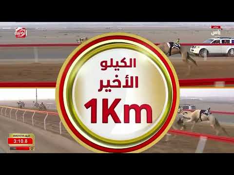ش 7 (الهارب) لـ صالح احمد بن هويمل العامري 4:35:04 ، مهرجان العين 2026/07/08 لقايا الروضة