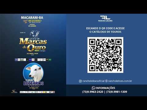 LEILÃO MARCAS DE OURO - MACARANI - 25/04/26