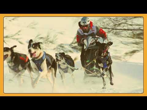 DICIEMBRE 2024: PALABRA DE CAMPEONES