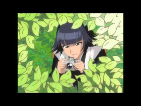 Bleach Shinigami Illustrated Picture Book Yoruichi