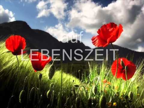 Puhdys - Lebenszeit