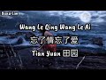 Wang Le Qing Wang Le Ai 忘了情忘了爱 Tian Yuan 田园 Lyrics 