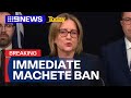 No Place On Our Streets Anywhere Premier S Extraordinary Machete Ban 9 News Australia