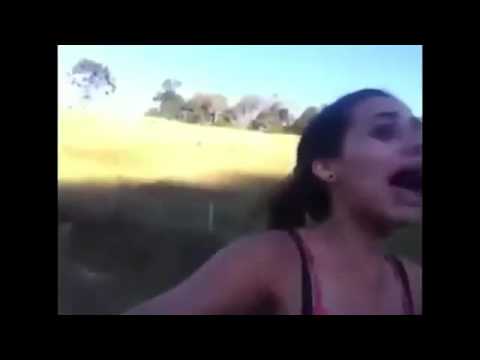 Medo da vaca !!😂😂😂