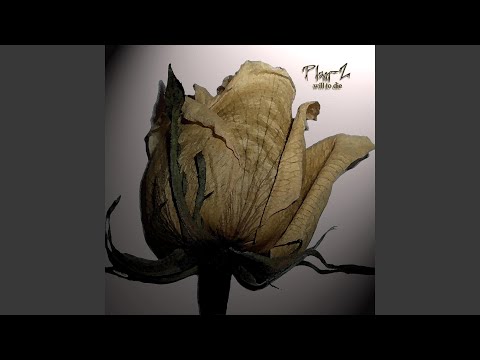 Sealing My Coffin Shut