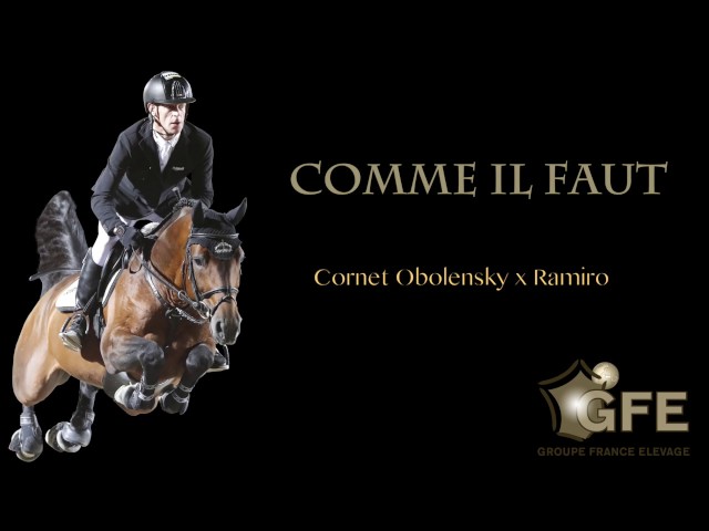 The father of this frozen embryo is the CSI 5* 1.60m jumping stallion Comme il faut with rider Marchus Ehning.