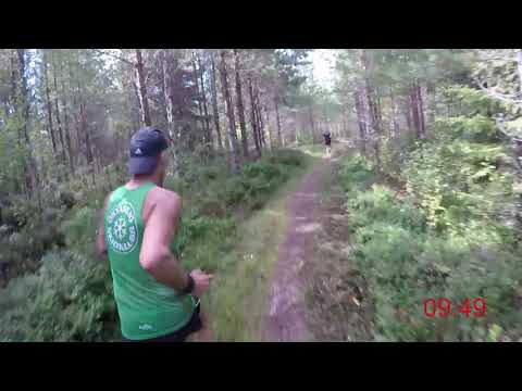 Östansjöloppet 2019 - 10 km (Löparperspektiv)