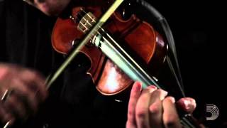 Pro-Arte 1/2 Violin D String - alum/nylon, Medium