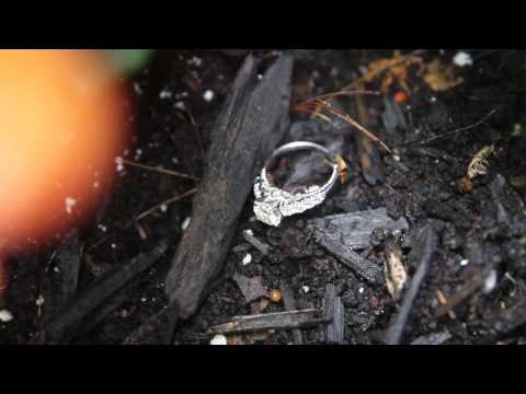 Camelot Jewelers Same Day Ring Sizing Available