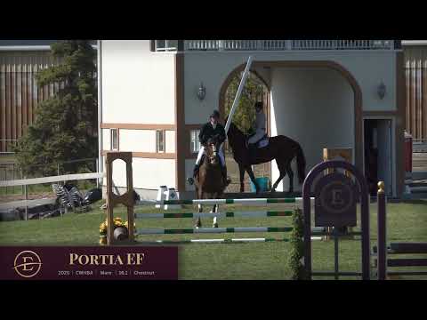 Portia EF Jumping