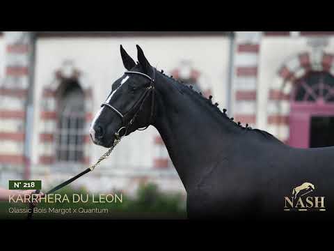 N°218 - Karrhera du Leon - NASH Elite Auction - October 27th, 28th & 29th of 2023