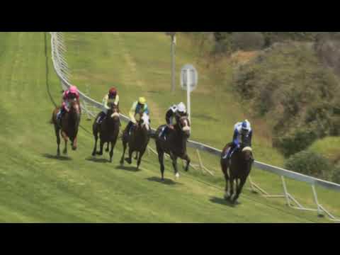 20210227 KENILWORTH  RACE 3 won by BAYBERRY