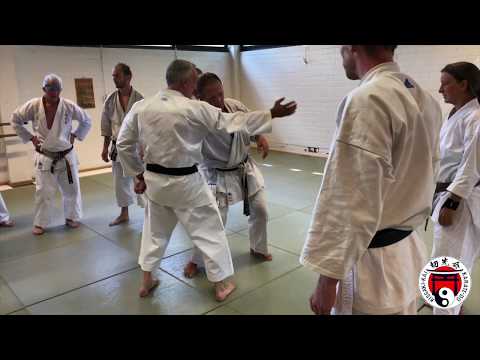 Elbow, knee and throw. Focus on what works. The Kissaki-Kai way. Guy Janssens 7th Dan.