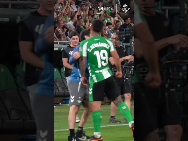Vídeo relacionado con ASDITEX Juego Sabana Real Betis de Verano para Todo el año de 90 cm